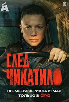 След Чикатило